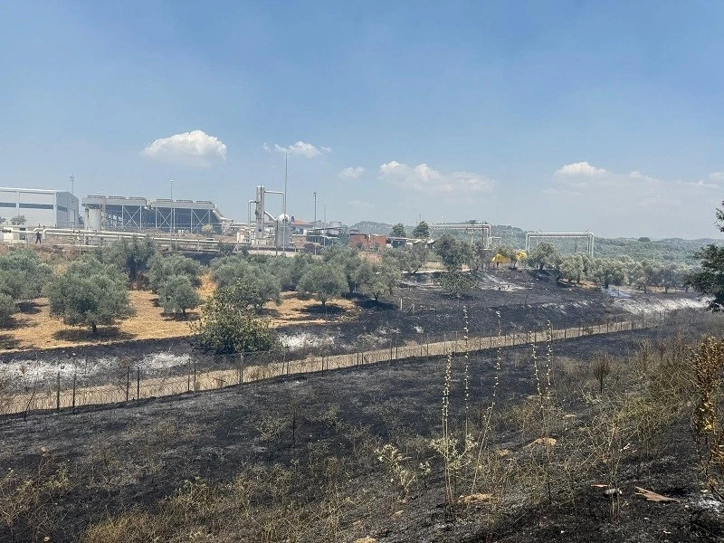 Çift sürülen tarla yangında zarar görmedi
