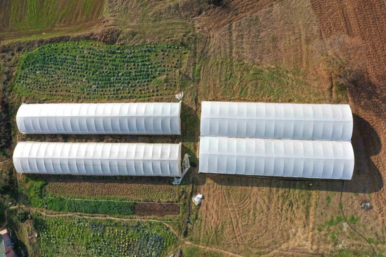 Çiftçilere yüzde 50 hibeli modern sera
