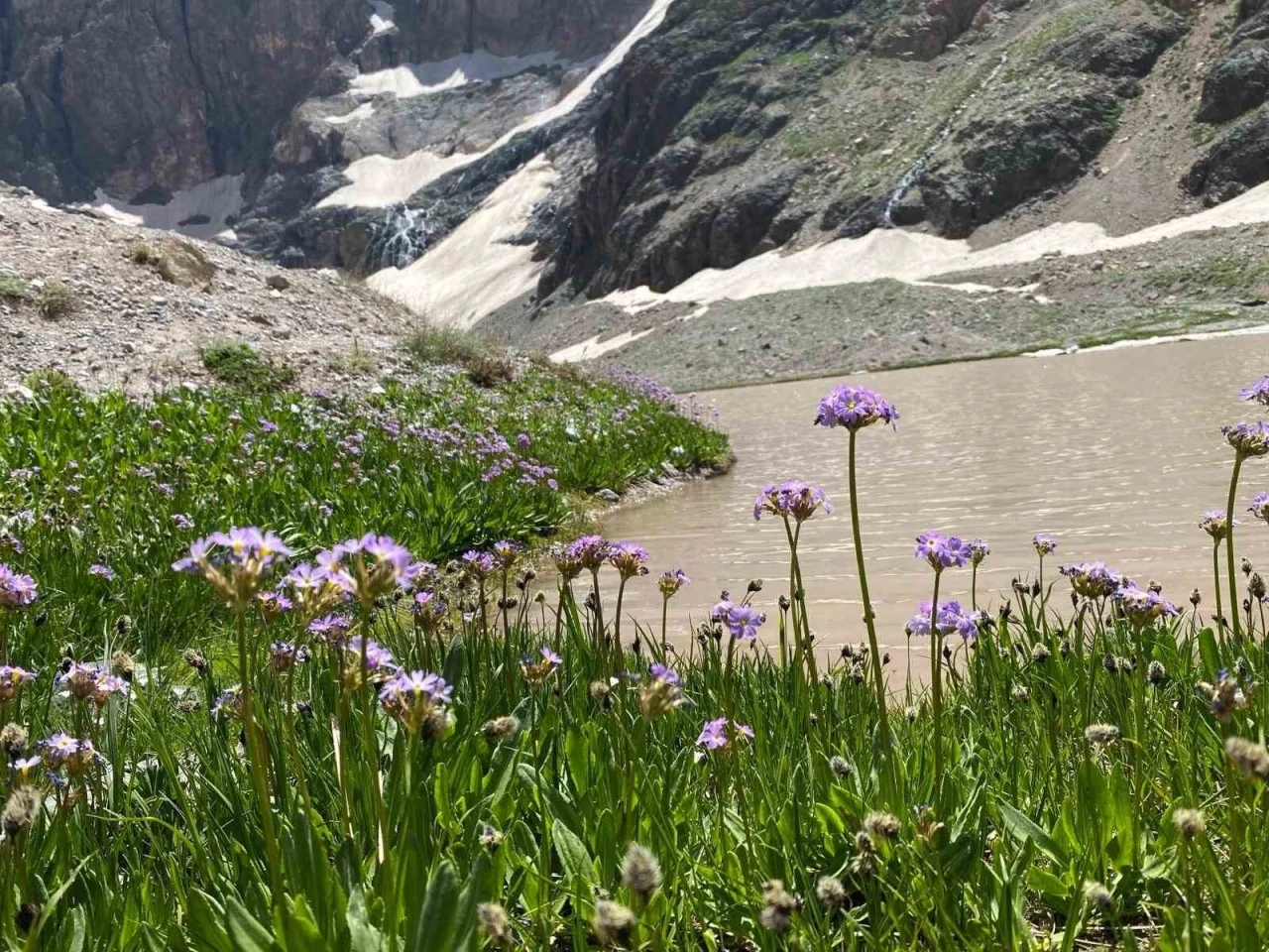 Cilo Dağı’nda buzullar hızla eriyor
