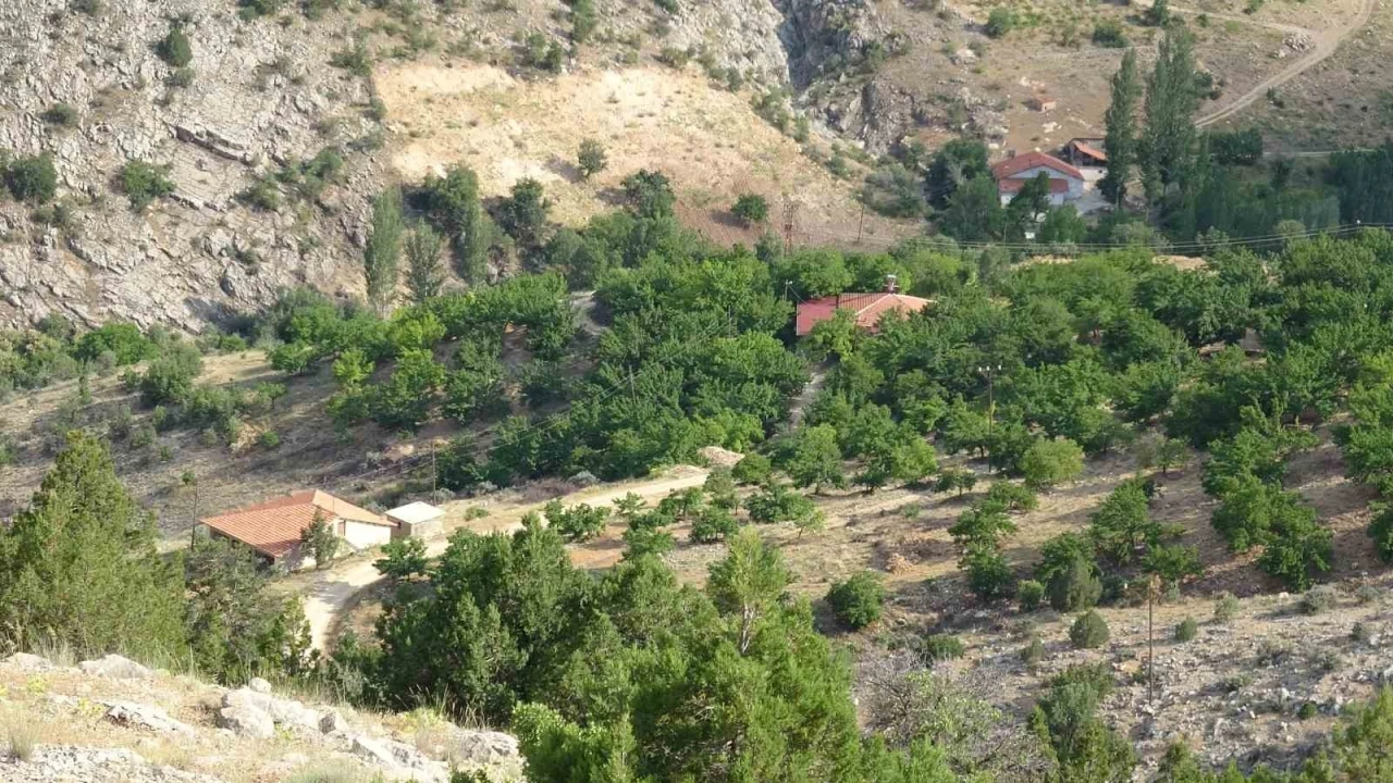 Cinayete kurban giden Aysel Yıldırım i&ccedil;in 1600 rakımlı dağlık alanda arama
