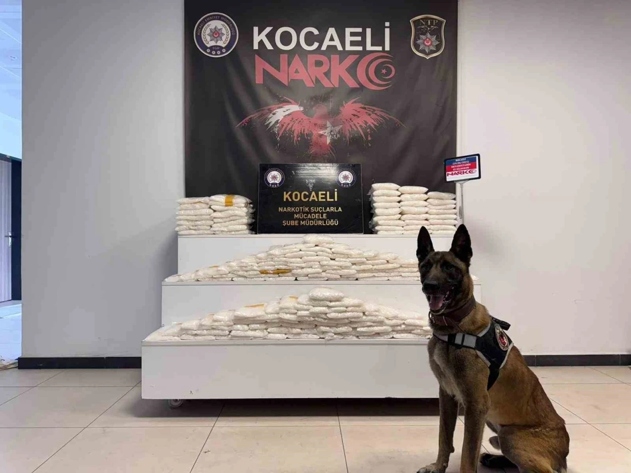 Cipte zulalanmış 82 kilo uyuşturucu ele geçirildi: 1 şüpheli tutuklandı
