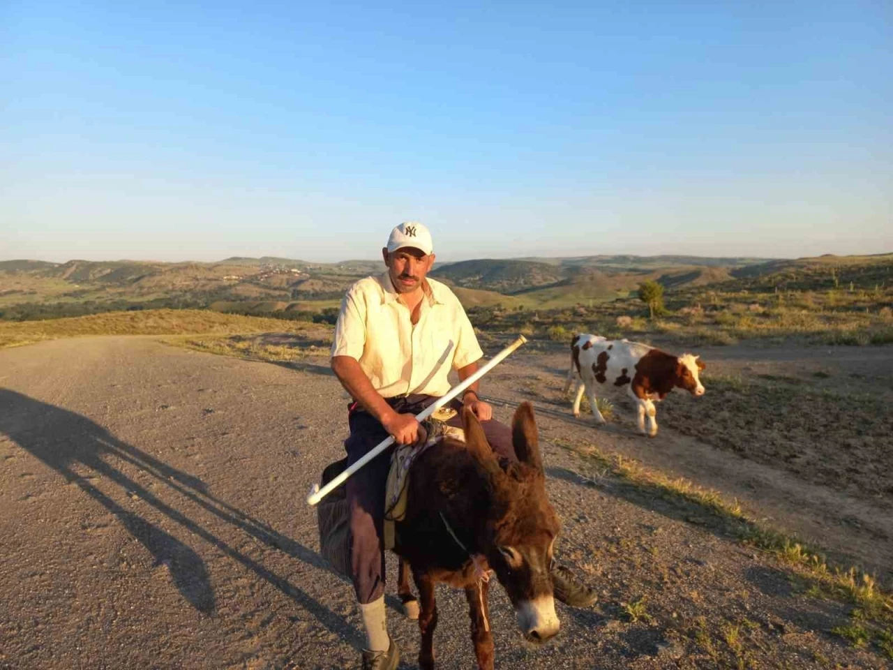 Besiciler Çoban Bulmakta Zorlanıyor