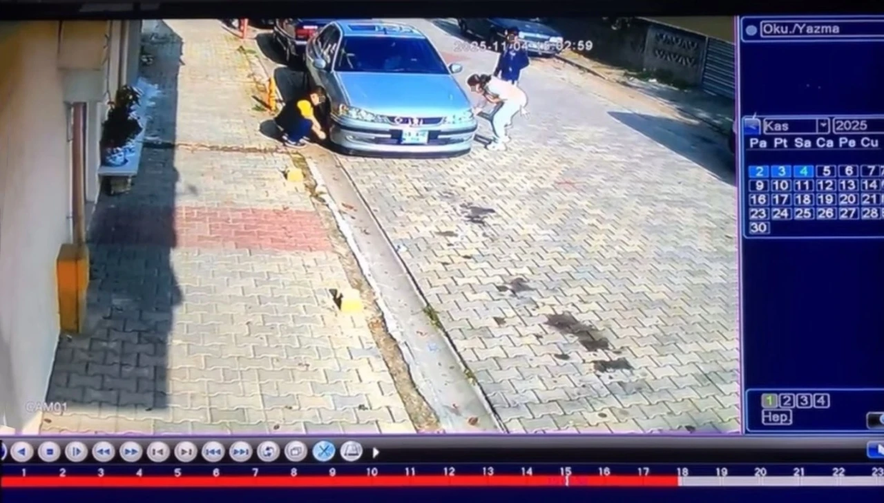 Çocukların ilginç hırsızlığı: Sibop kapaklarını çaldılar
