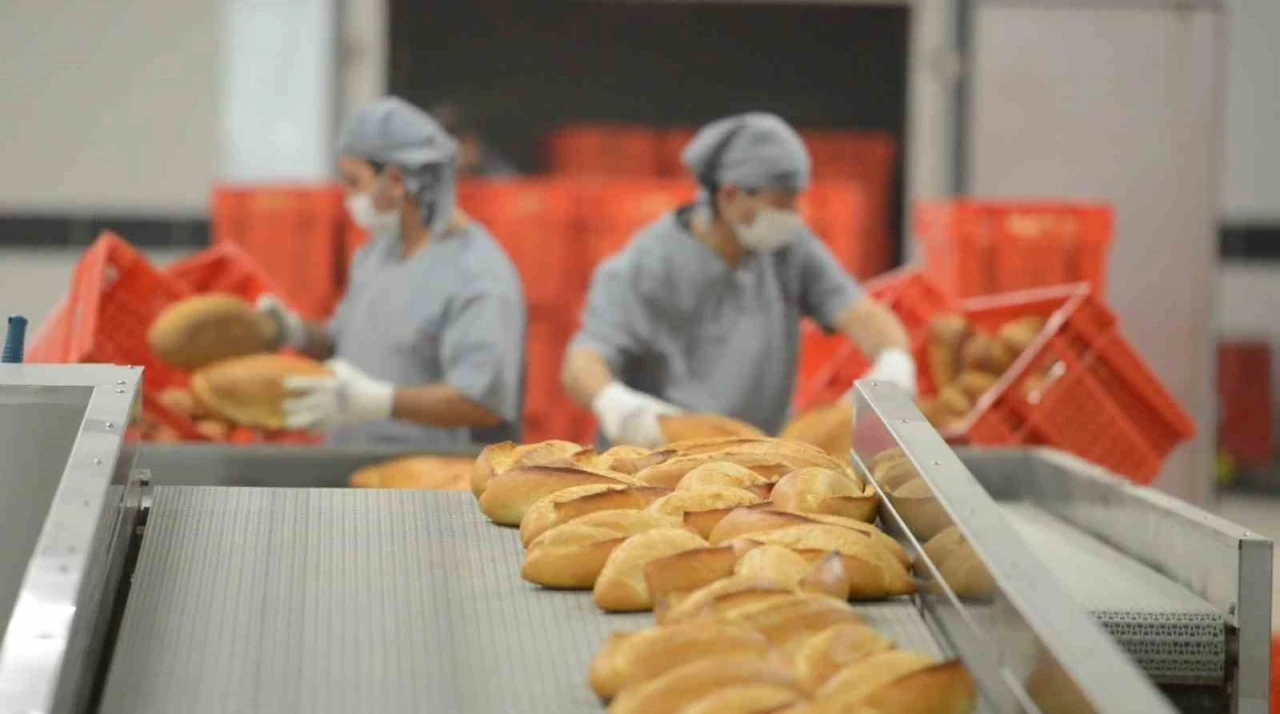 &Ccedil;orum Belediyesi Halk Ekmek, 2025&rsquo;te 13,3 milyon ekmekle sofralara ulaştı
