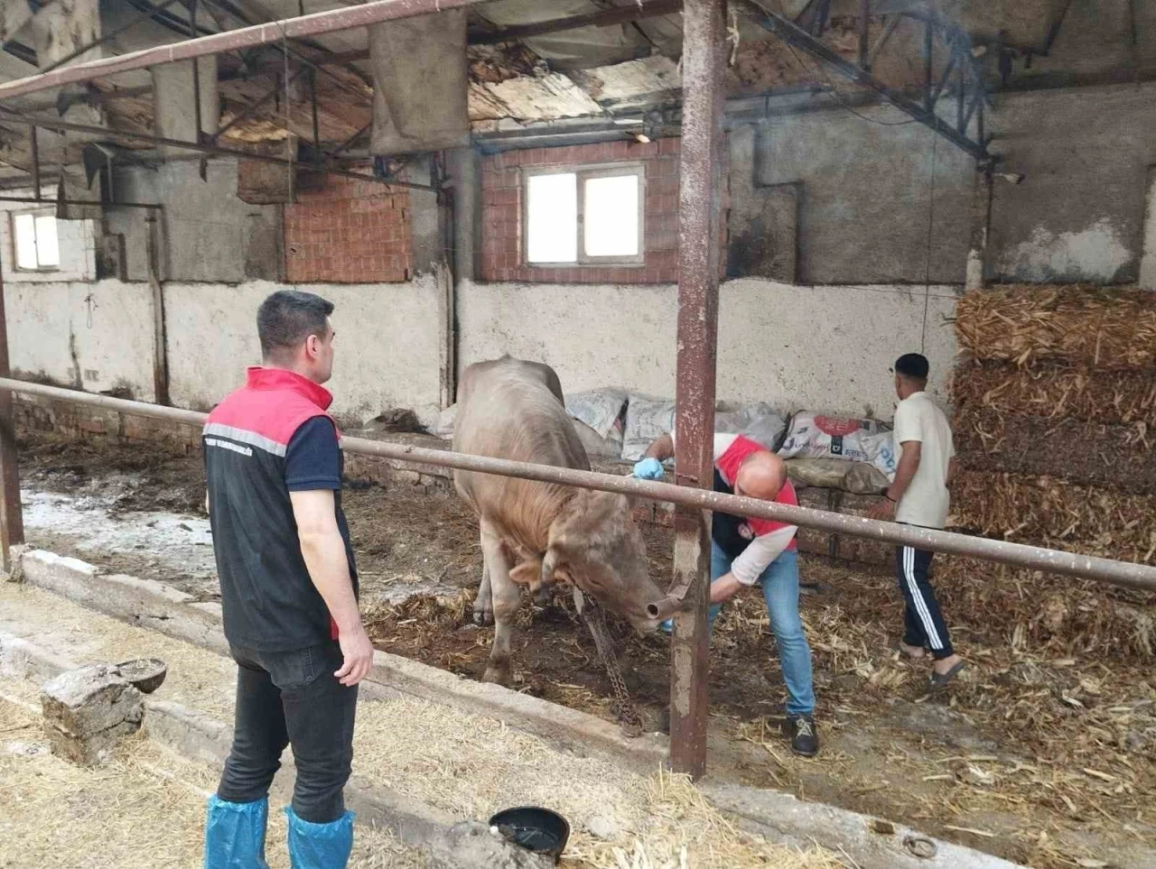 Çorum’da hayvan pazarları kapatıldı
