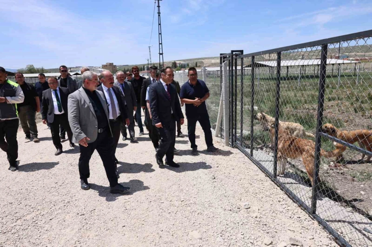 Çorum’da sokak hayvanları için yapılan &quot;Doğal Yaşam Alanı&quot;nda çalışmalar tamamlandı
