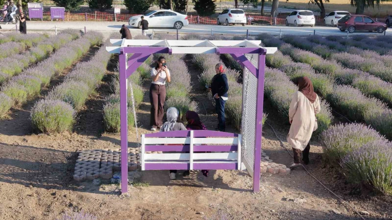 &Ccedil;orum&rsquo;un lavanta bah&ccedil;esi vatandaşların g&ouml;zdesi oldu
