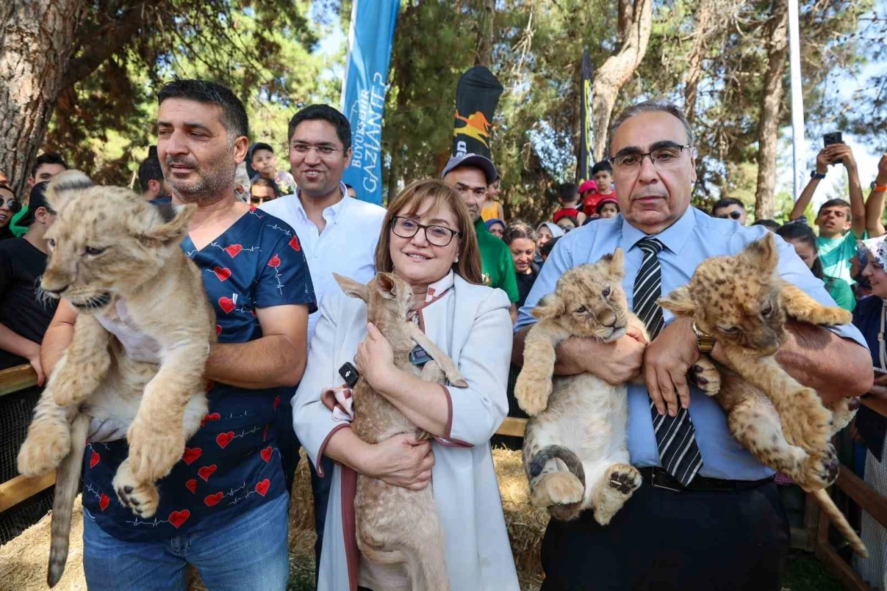 Cumhurbaşkanı Erdoğan’a hediye edilen aslanların üç yavrusu doğdu
