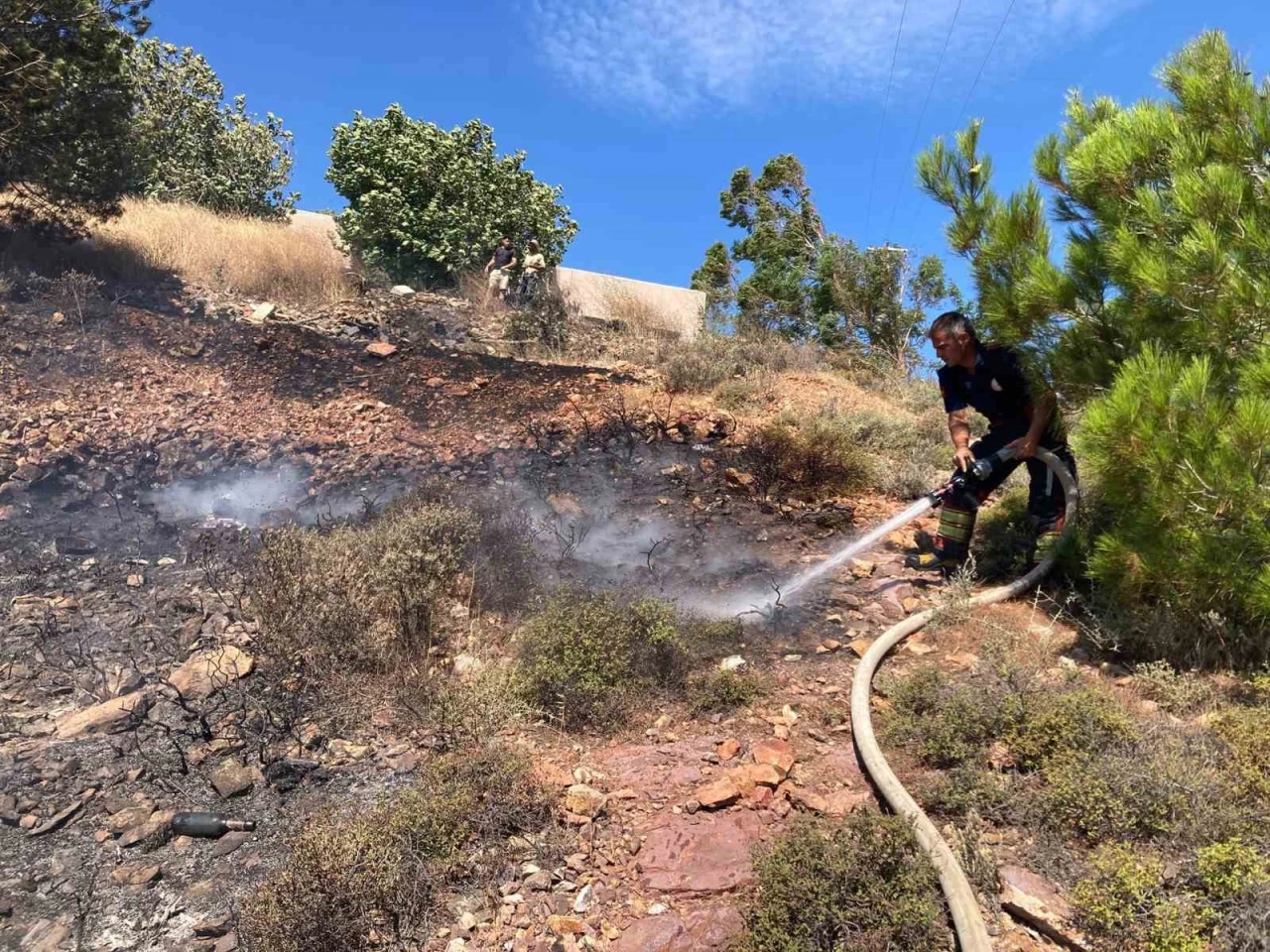 Cunda Adası&rsquo;nda orman yangını
