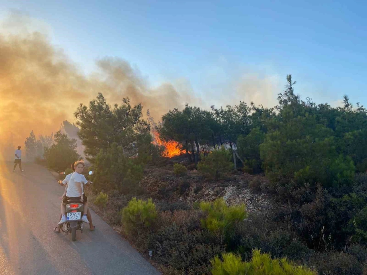 Cunda Adası’ndaki orman yangını büyümeden söndürüldü
