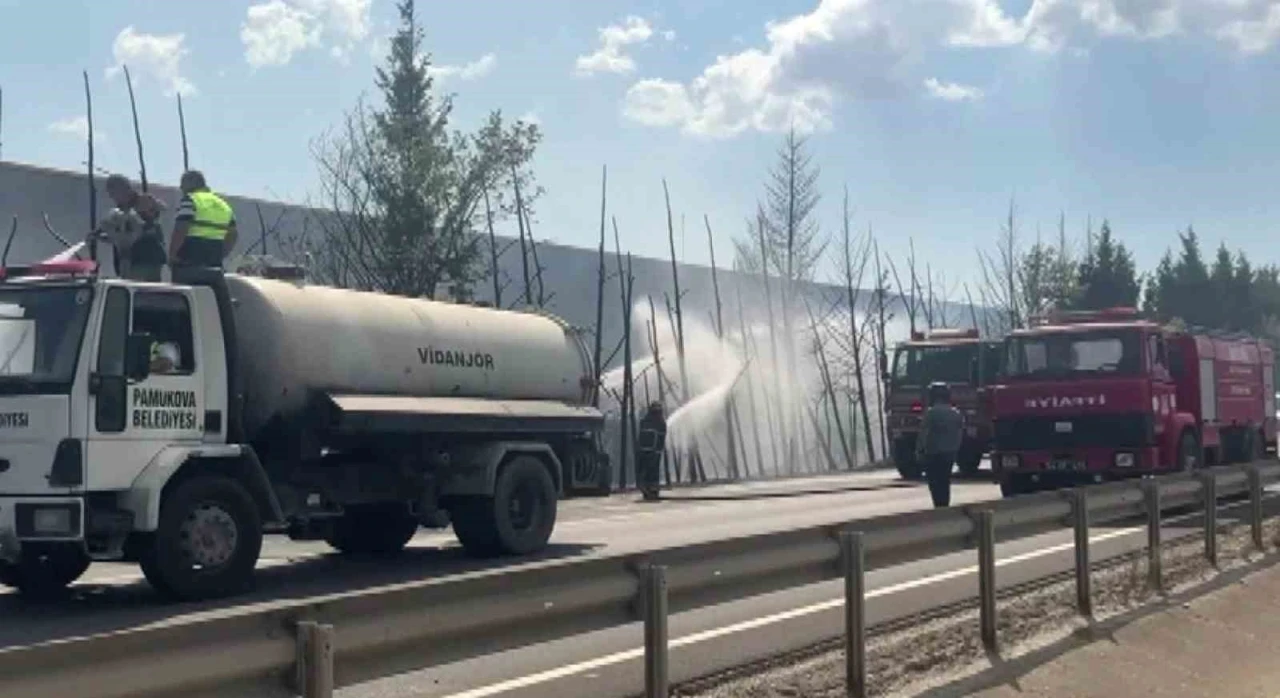 D-650’de korkutan yangın: Ağaçlar alev topuna döndü, trafik durduruldu
