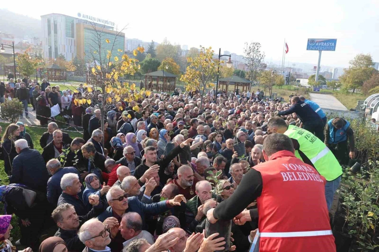 Dağıtılan elma ve armut fidanlarından almak için birbirleri ile yarıştılar
