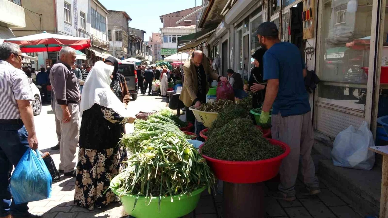 Dağlardan toplanan otlar hem şifa hem kazanç sağlıyor
