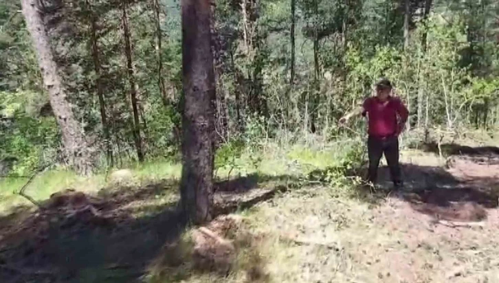 Damgasız ağaçları kestiği iddia edildi, "İstersen Valiyi çağır lan" dedi
