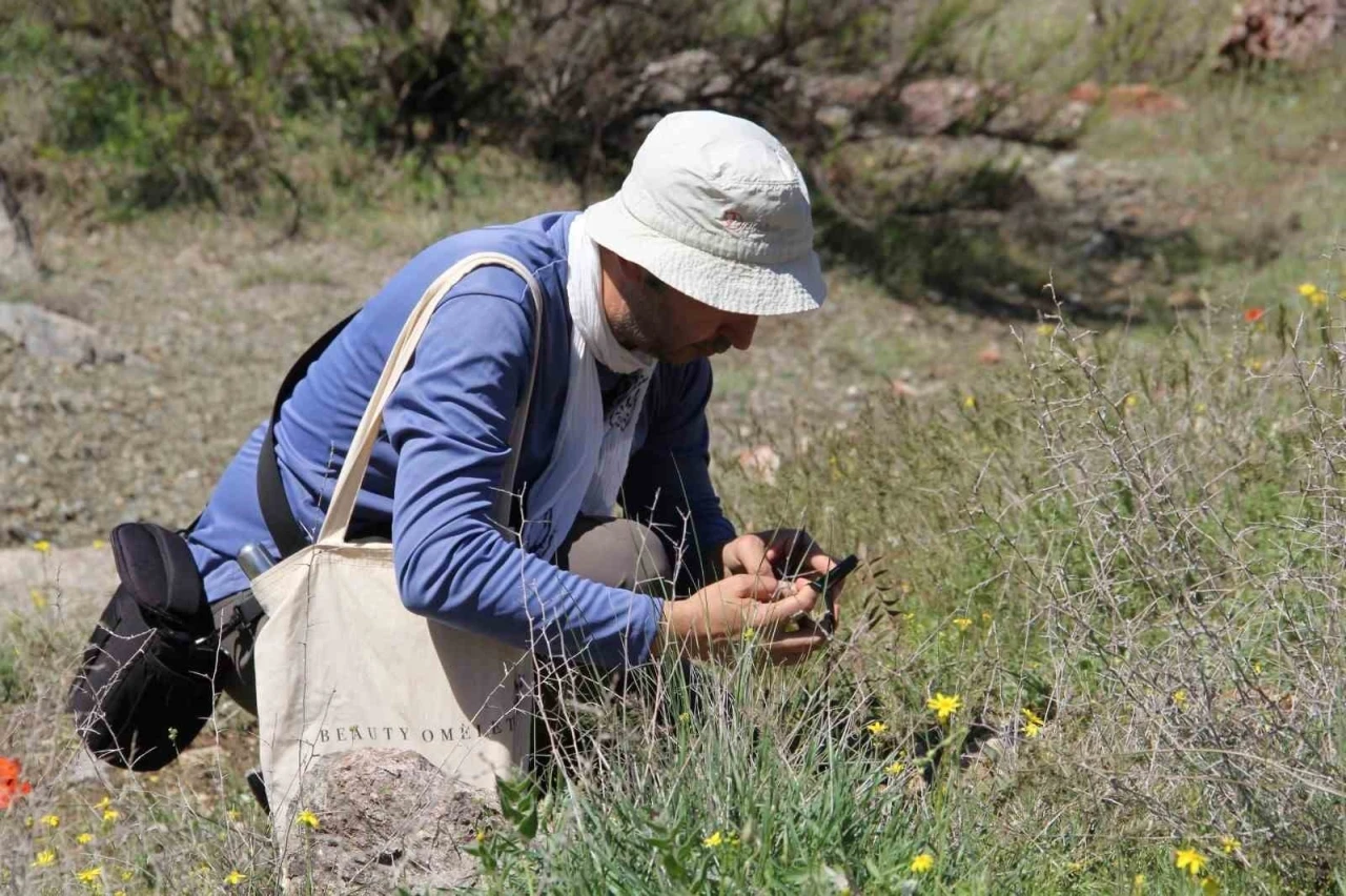 Darende&rsquo;de flora projesi i&ccedil;in ilk saha &ccedil;alışması tamamlandı
