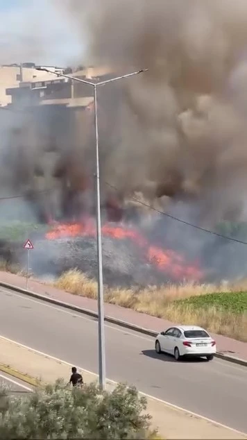 Darıca&rsquo;da arazide korkutan yangın
