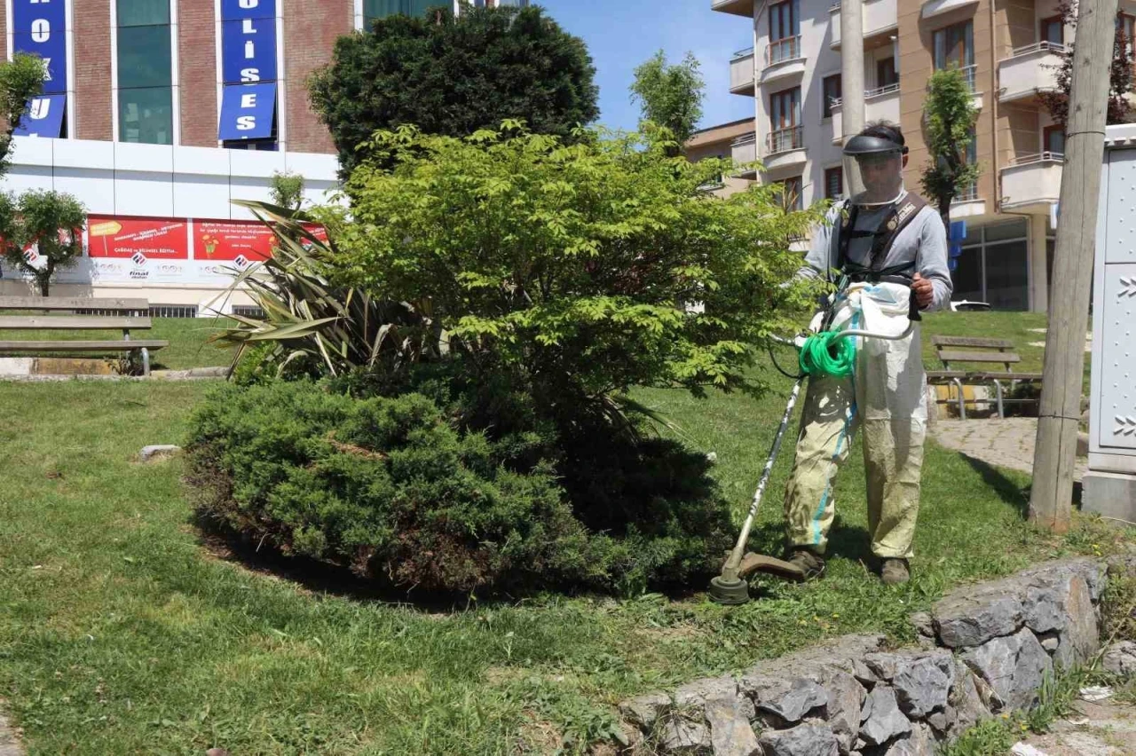 Darıca’da yeşil alanlarda bahar mesaisi
