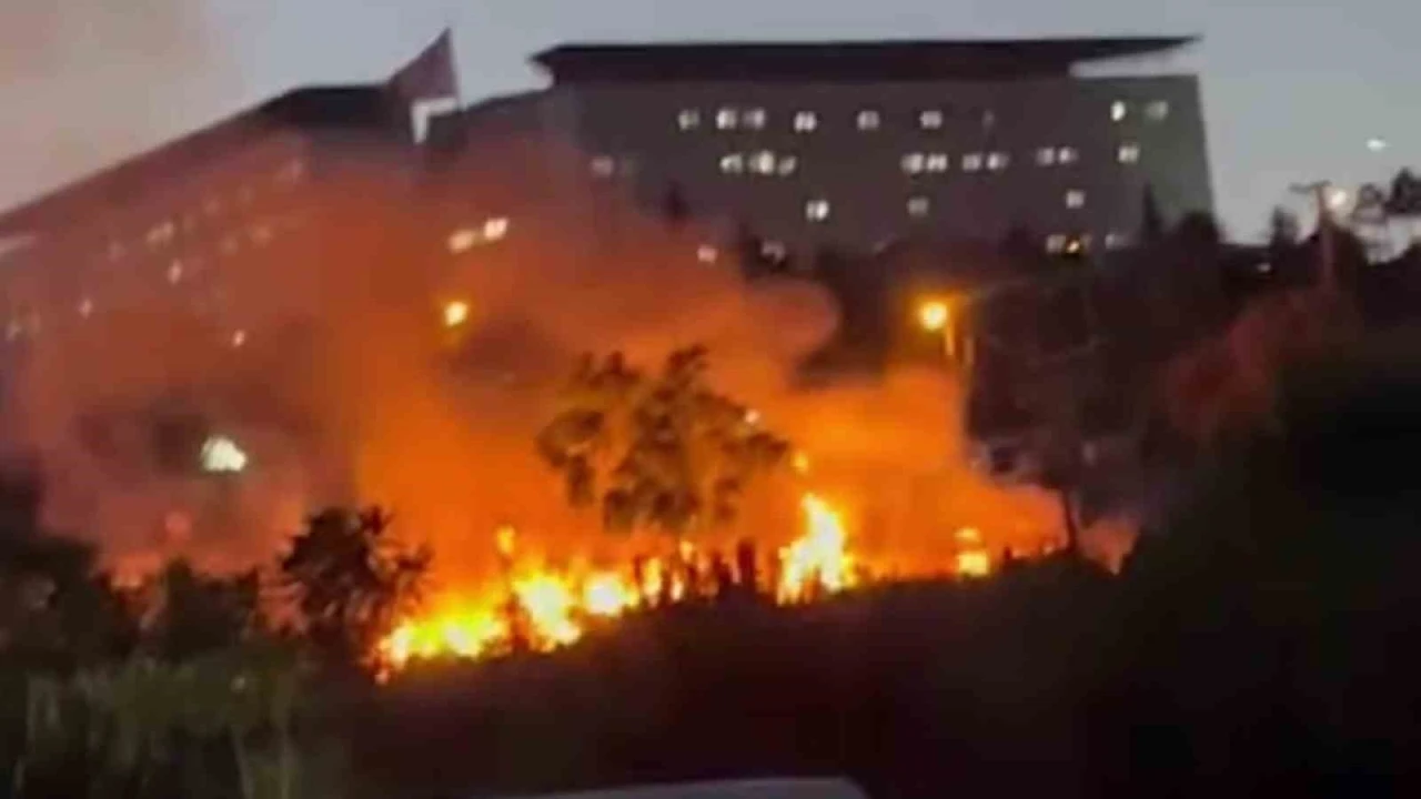 Darıca Millet Bahçesi’nde çıkan yangın söndürüldü
