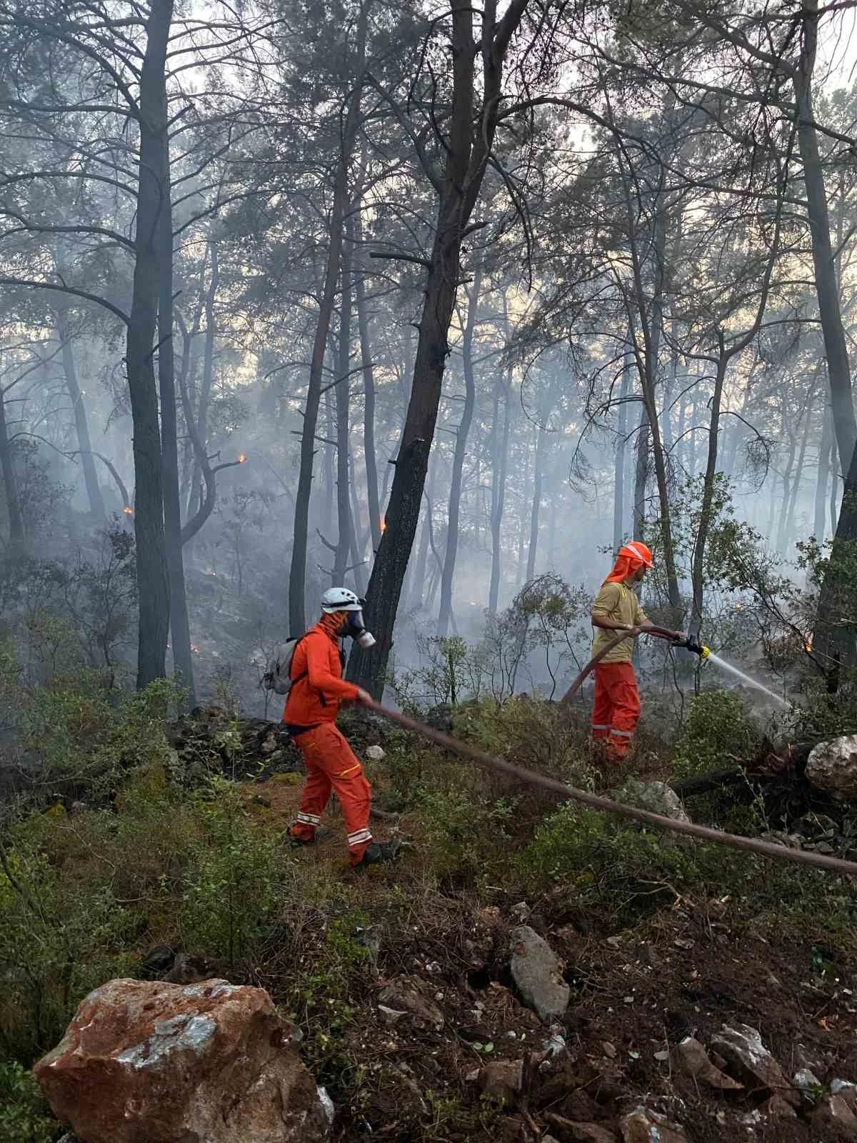 Dat&ccedil;a MAG AME ekipleri G&ouml;cek&rsquo;teki orman yangınına destek verdi
