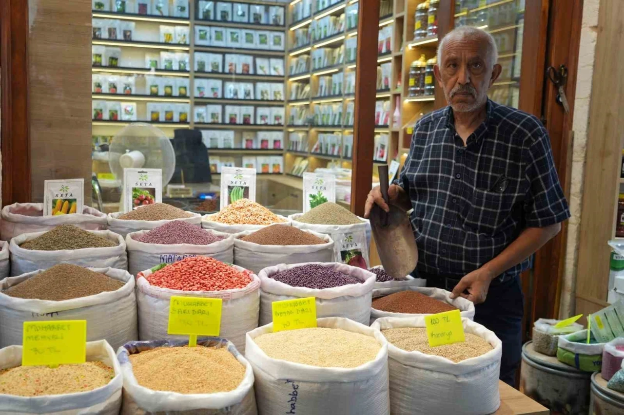 Dede mesleğini 3 bin d&ouml;n&uuml;m arazide yaşatıyor
