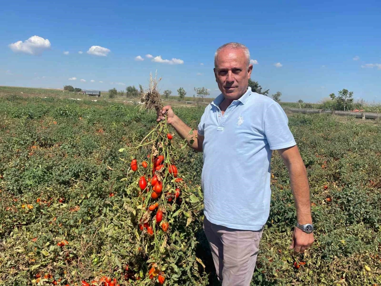 Dedesi se&ccedil;imde muhtar oldu adına "Se&ccedil;im" konuldu
