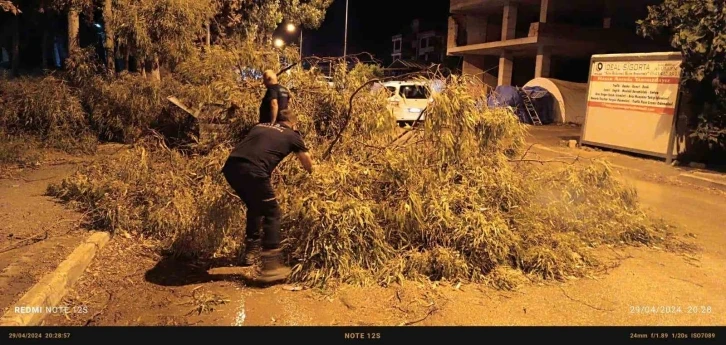 Defne&rsquo;de devrilen ağa&ccedil; ekipler tarafından kaldırıldı
