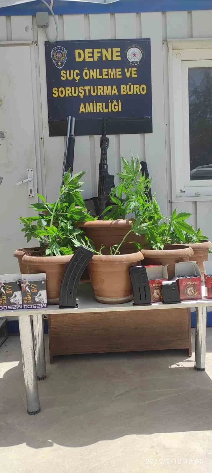 Defne’de saksı içerisine ekili 19 kök Hint keneviri bitkisi ele geçirildi