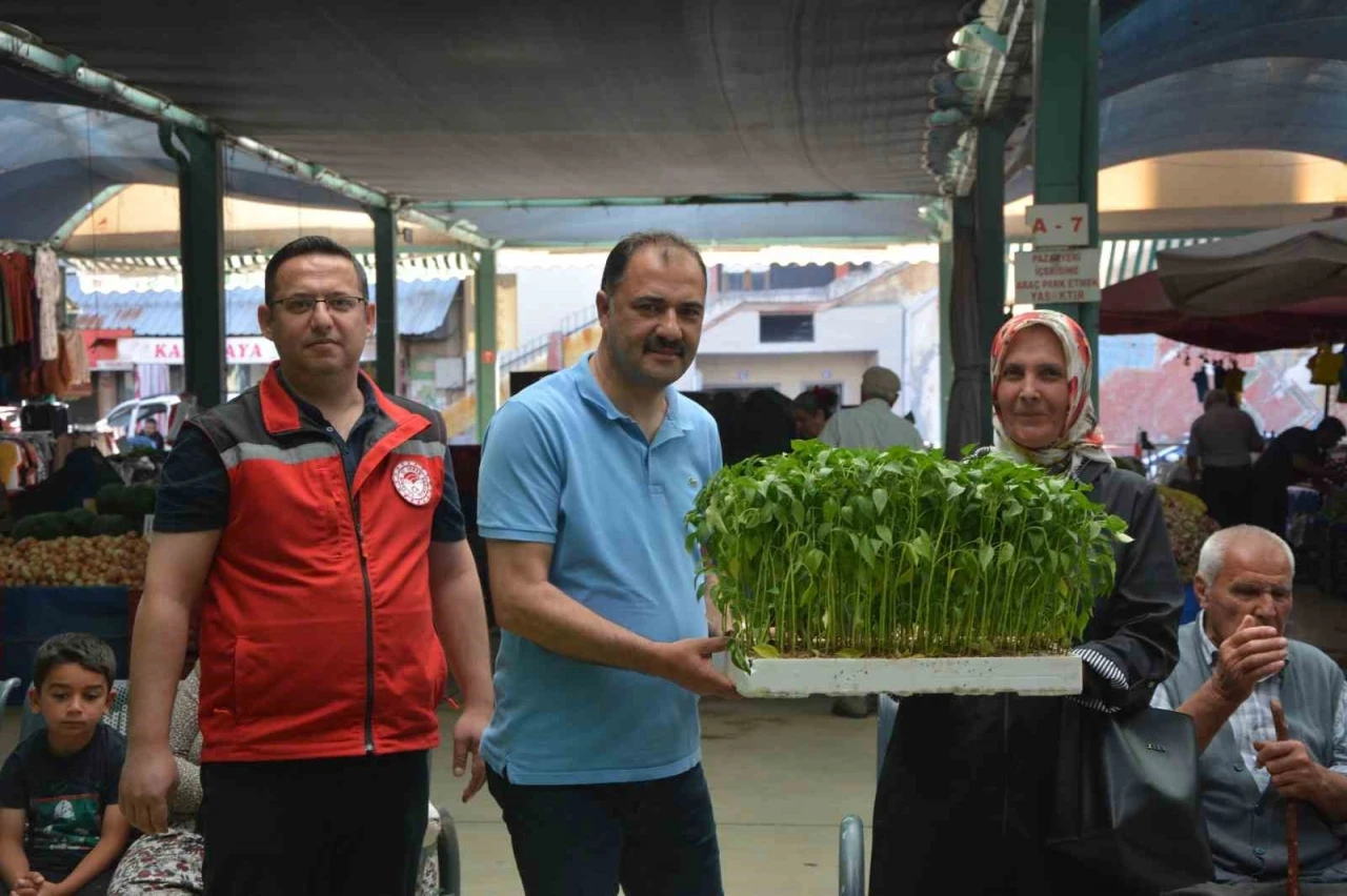 Demircili çiftçilere 40 bin ücretsiz sebze fidesi dağıtıldı
