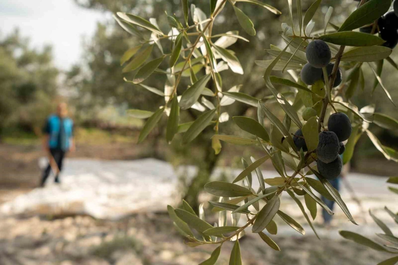 Denetimli Serbestlik Yükümlülerine anlamlı görev
