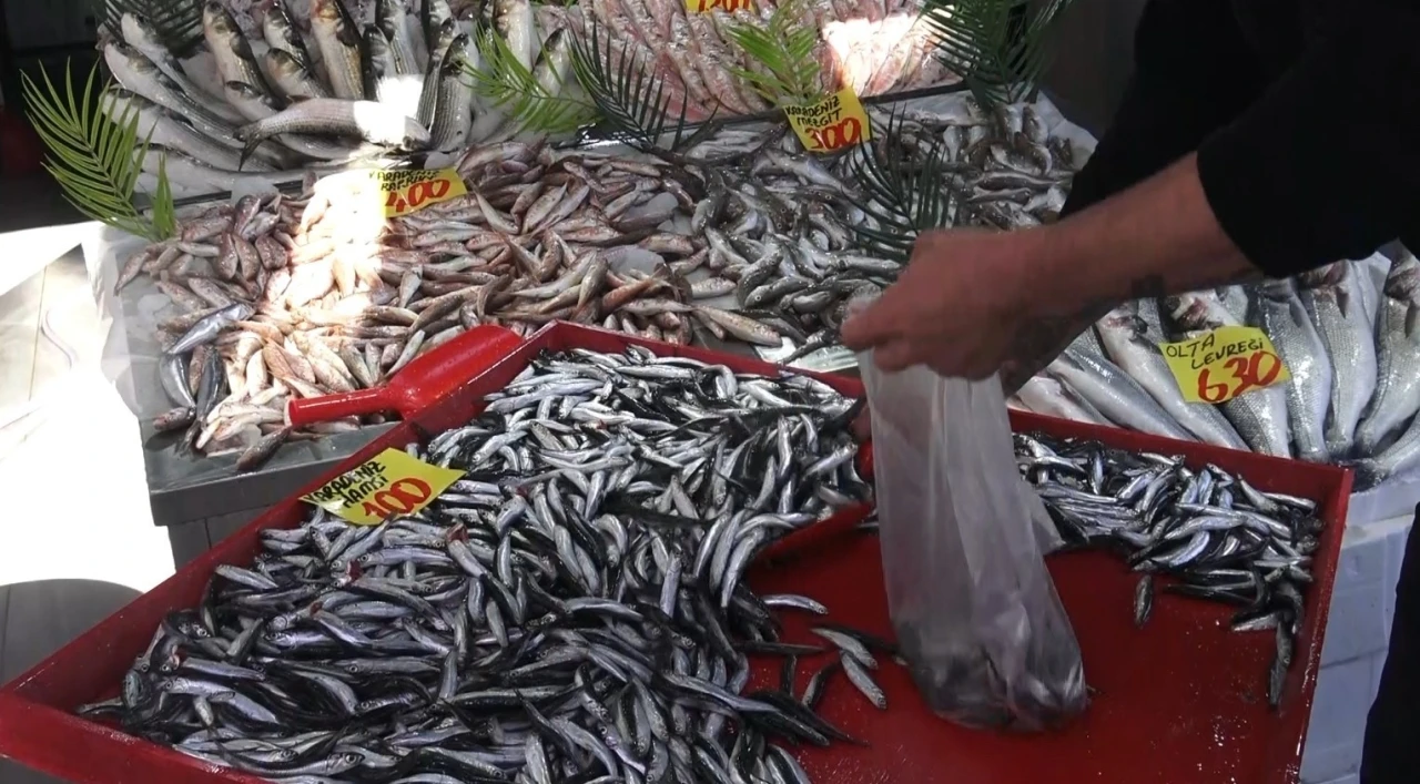 Denizi olmayan Çankırı’da 100 liraya satılan hamsi yüzleri güldürdü
