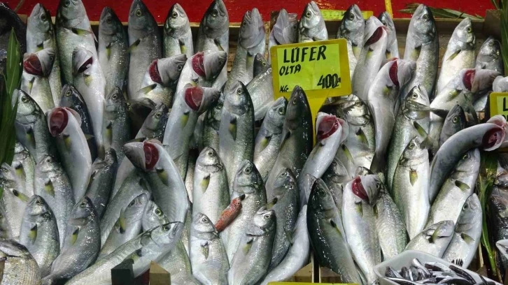 Denizlerin prensi &rsquo;l&uuml;fer&rsquo; yarı yarıya ucuzladı
