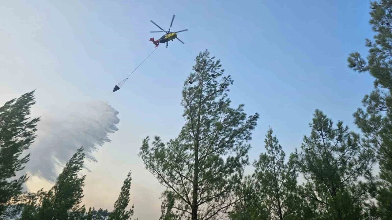 Denizli’de sarp bölgede çıkan orman yangını kontrol altına alındı
