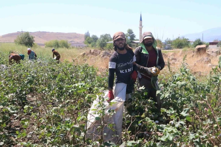 Depremzede tarım iş&ccedil;ilerinin zorlu pamuk mesaisi
