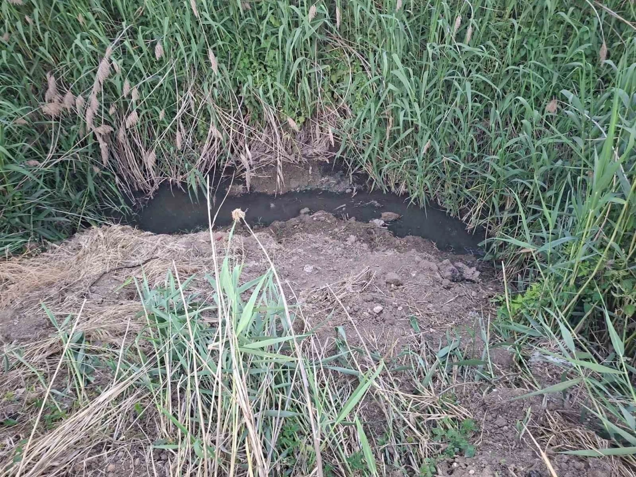 Dereye akan lağım suyu, mahalleliyi nefes alamaz hale getirdi