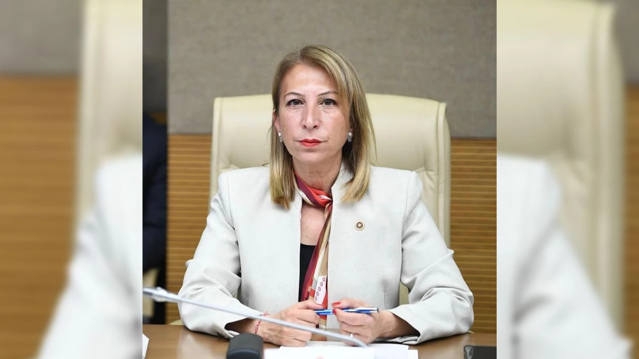 Derici: Muğla&rsquo;nın &Ccedil;evre M&uuml;cadelesi Yok Sayılıyor