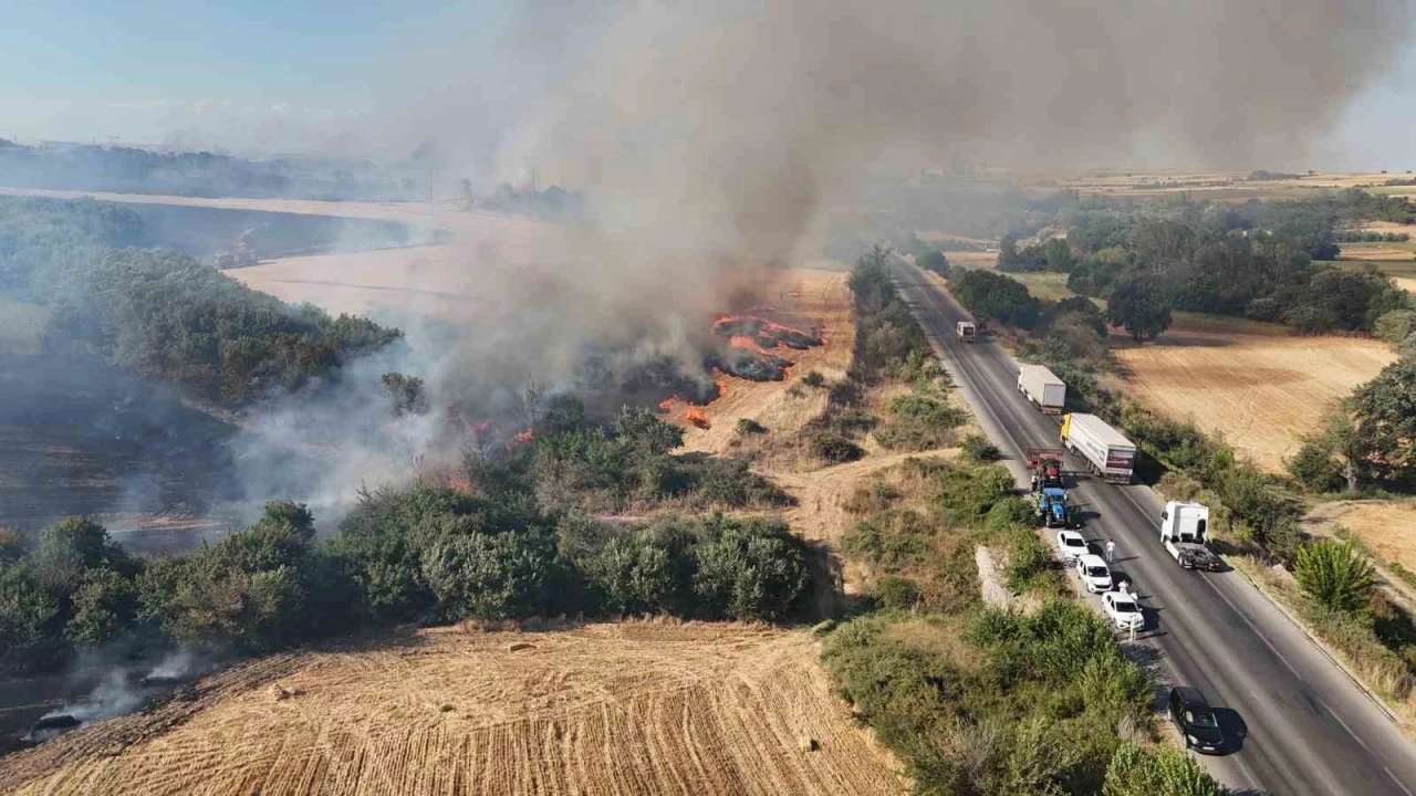 Devasa alevler uluslararası yolu trafiğe kapattı
