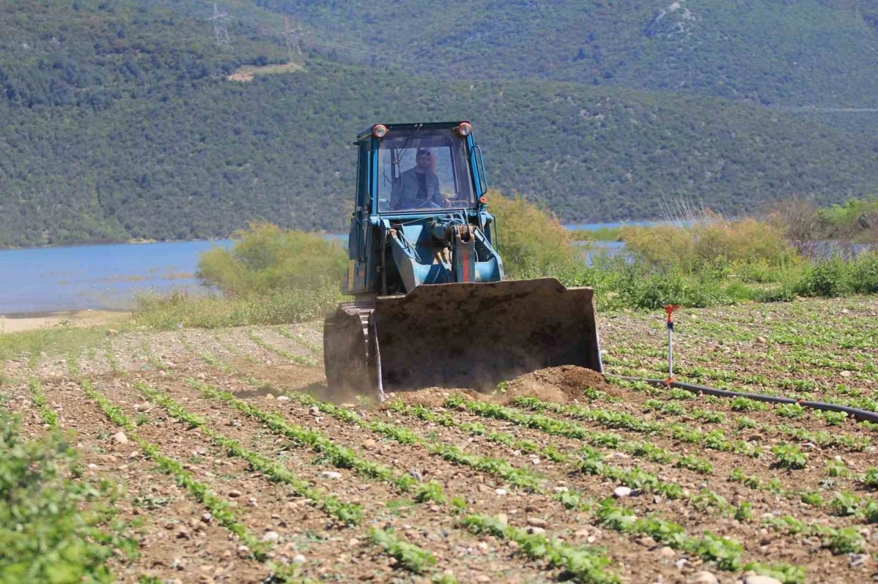 Devlet çiftçiye &quot;ekin&quot; diyor, DSİ ekili alanları düzlüyor
