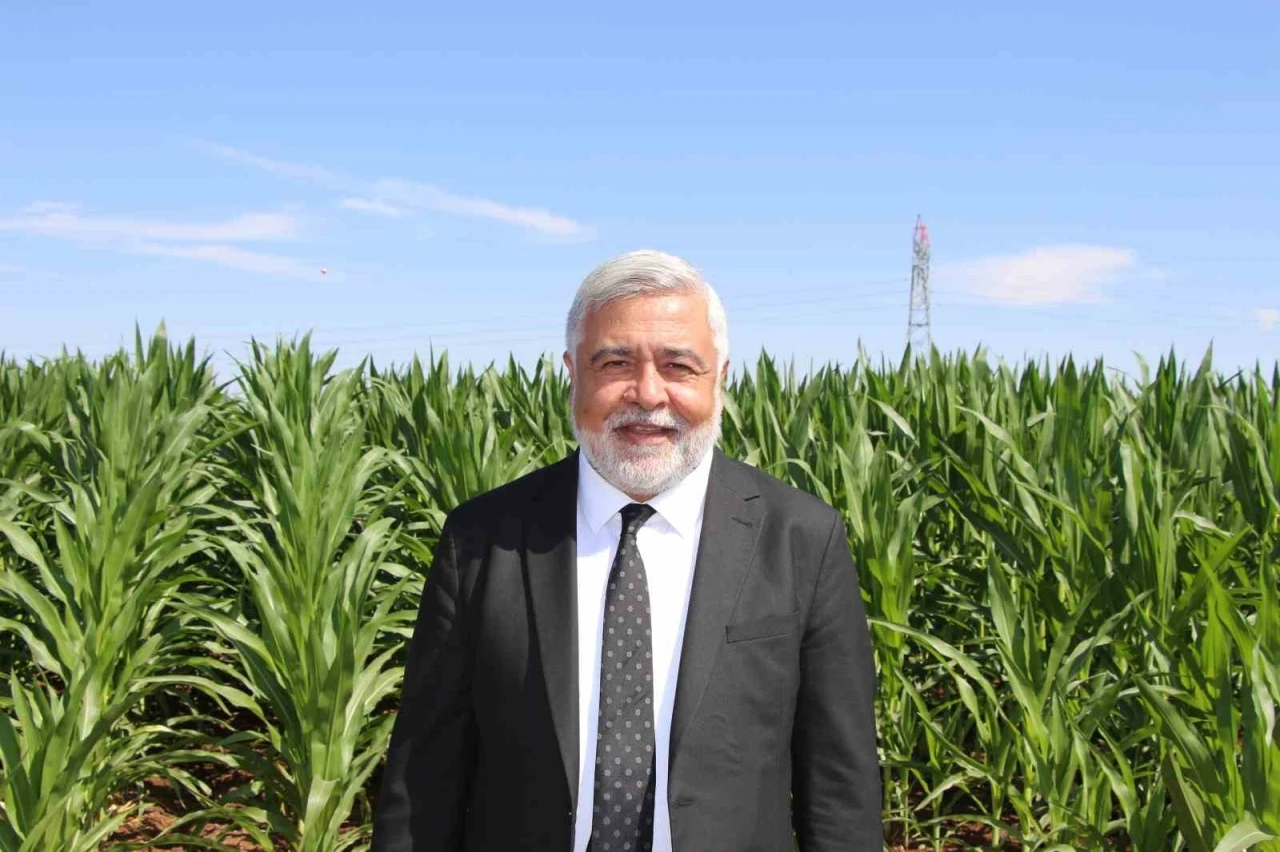 Dicle Elektrik Genel Müdürü Arvas: &quot;Bölgede sorun elektrik değil, sulama&quot;
