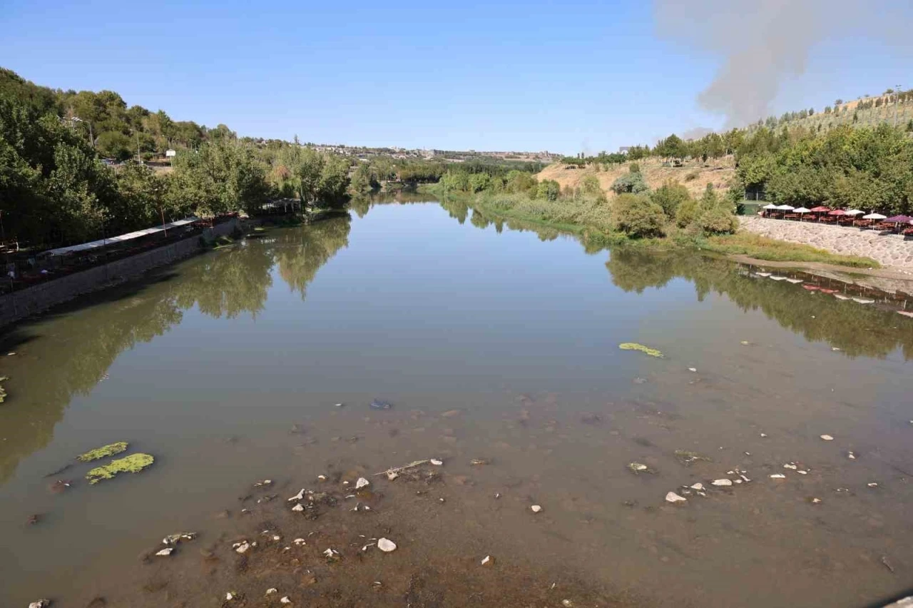 Dicle Nehri’nde balık ölümleri görüldü
