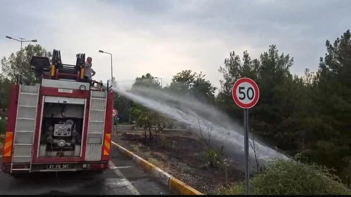 Dicle Üniversitesi’ndeki örtü yangını söndürüldü
