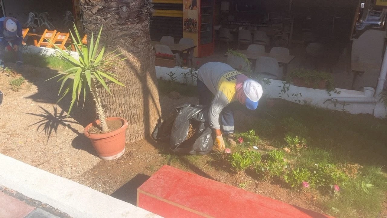 Didim Belediyesi&rsquo;nin kendi &uuml;retimi &ccedil;i&ccedil;ekler toprakla buluşuyor
