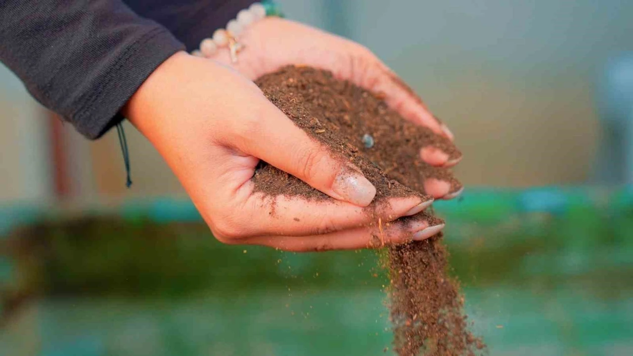 Didim Belediyesi pazar atıklarını komposta dönüştürüyor
