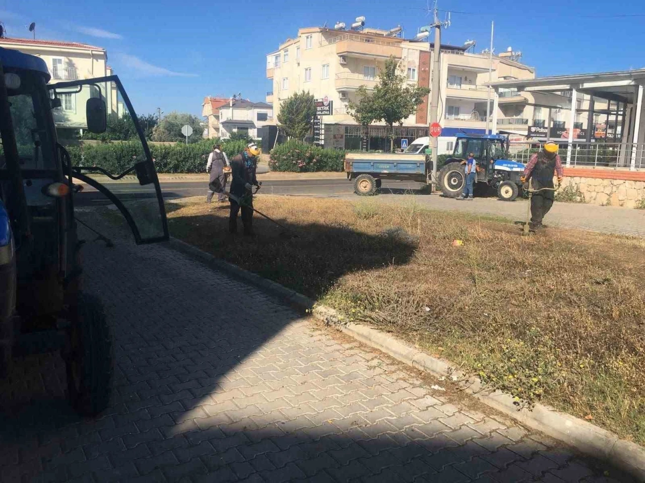 Didim Belediyesi yeşil alanlarda bakım &ccedil;alışmalarını s&uuml;rd&uuml;r&uuml;yor
