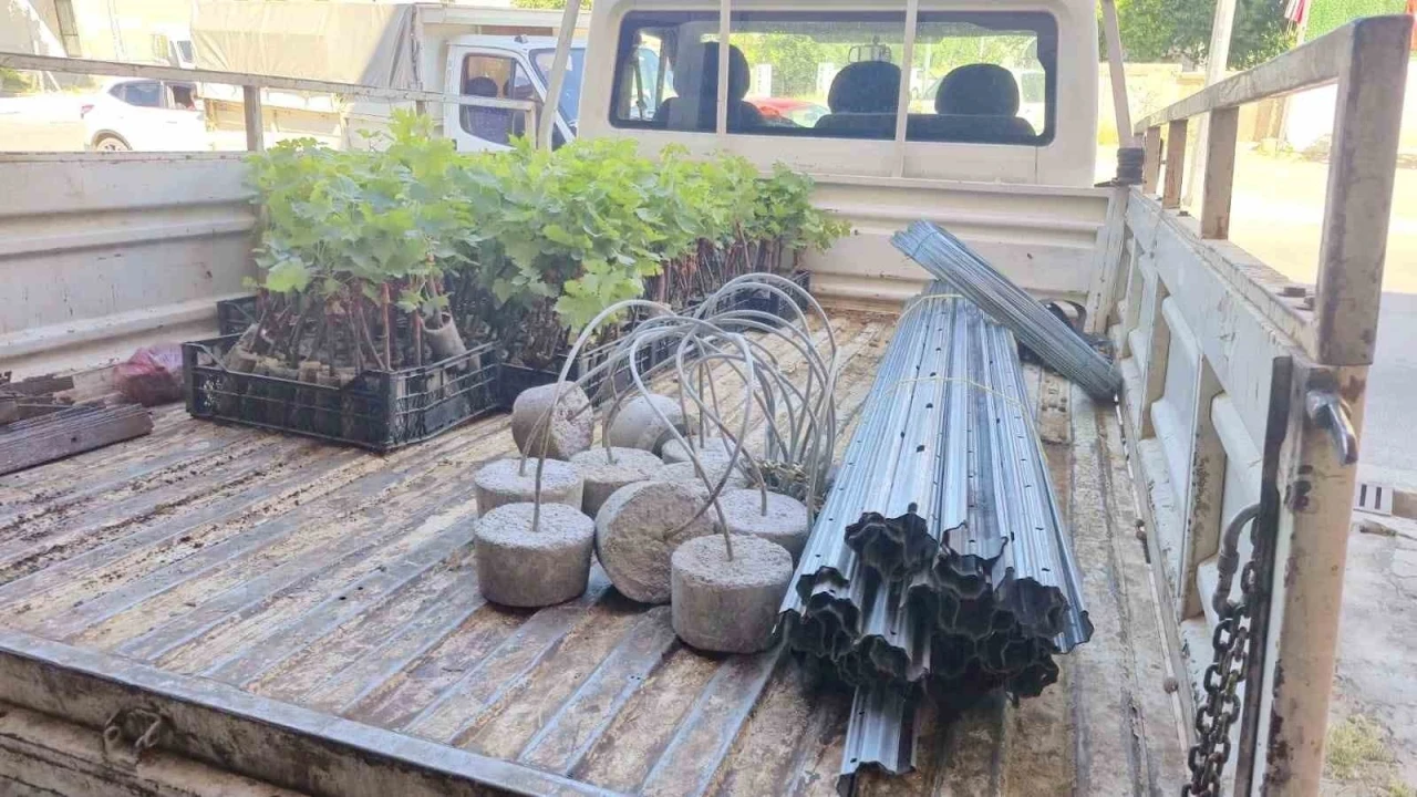 Dinar&rsquo;da Bağcılık Projesi başladı
