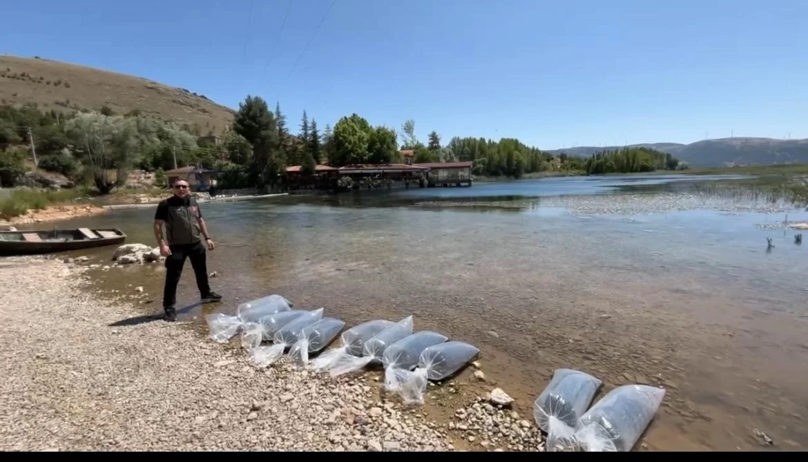 Dinar’da baraj ve göletlere 205 bin yavru balık salındı
