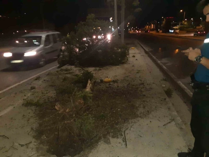 Direksiyon hakimiyetini kaybeden sürücü kaza yaptı
