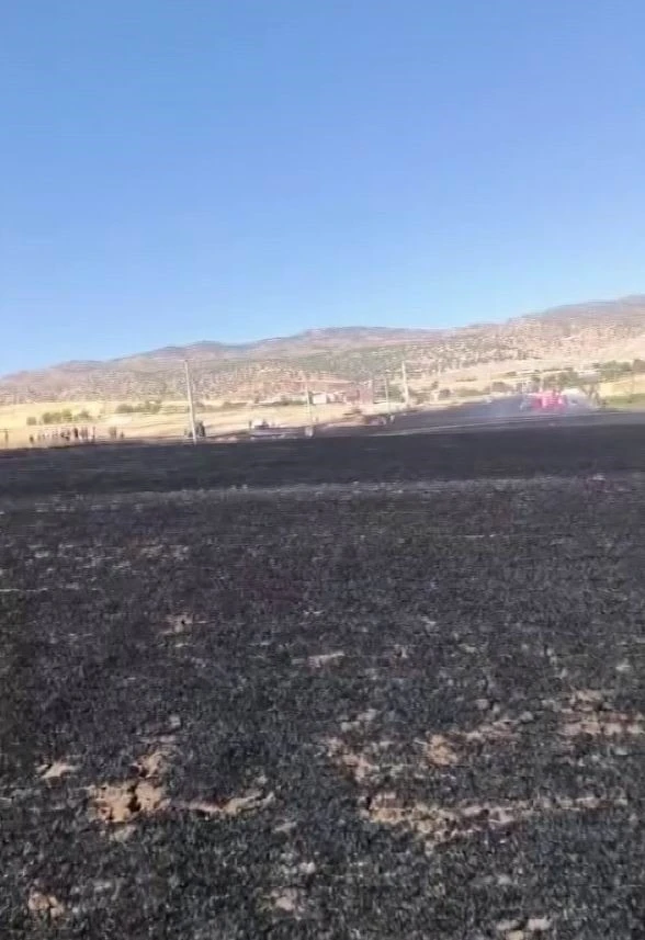 Diyarbakır&rsquo;da 100 d&ouml;n&uuml;ml&uuml;k alan alevlere teslim oldu
