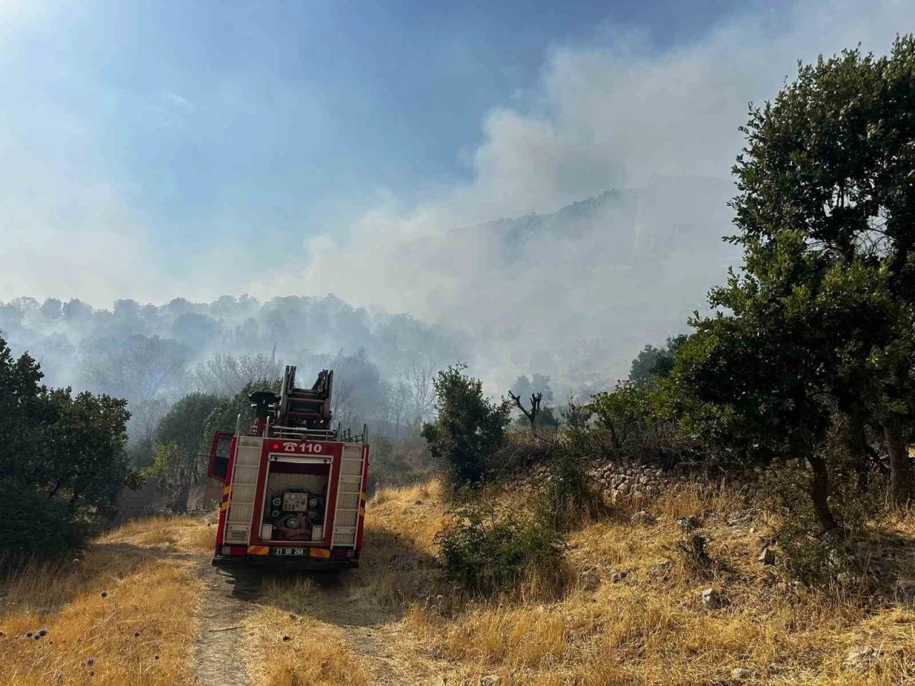 Diyarbakır’da çıkan orman yangınına 9 saattir müdahale devam ediyor
