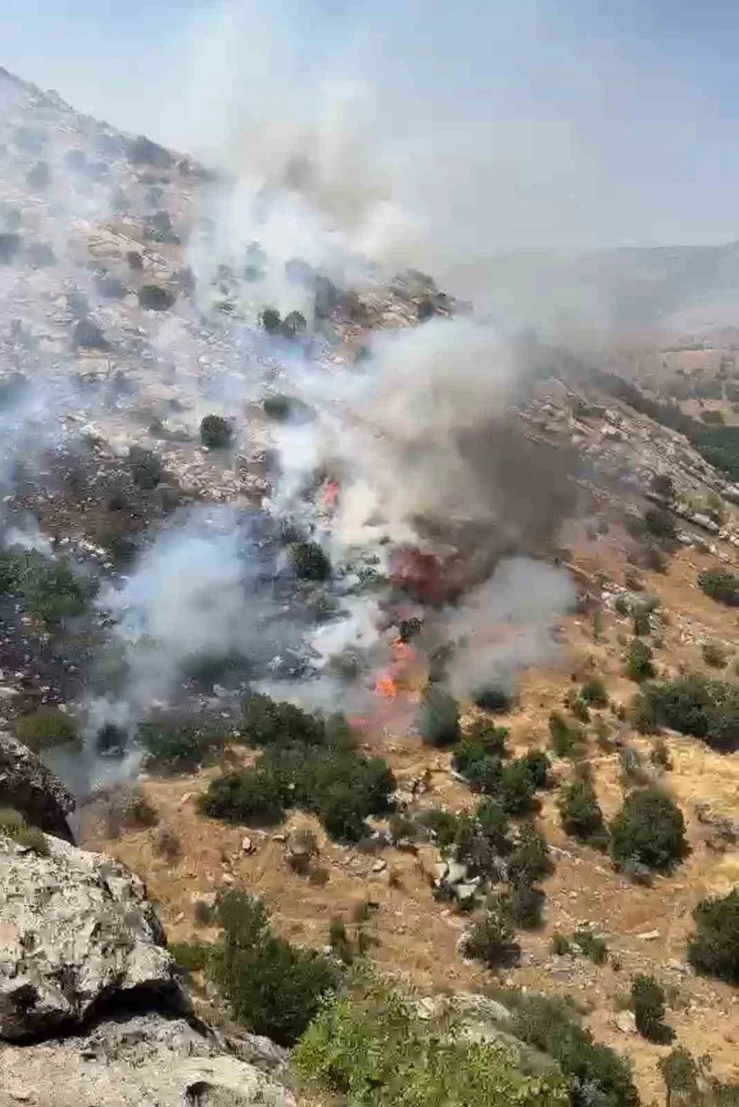 Diyarbakır&rsquo;da &ccedil;ıkan &ouml;rt&uuml; ve orman yangınları s&ouml;nd&uuml;r&uuml;ld&uuml;
