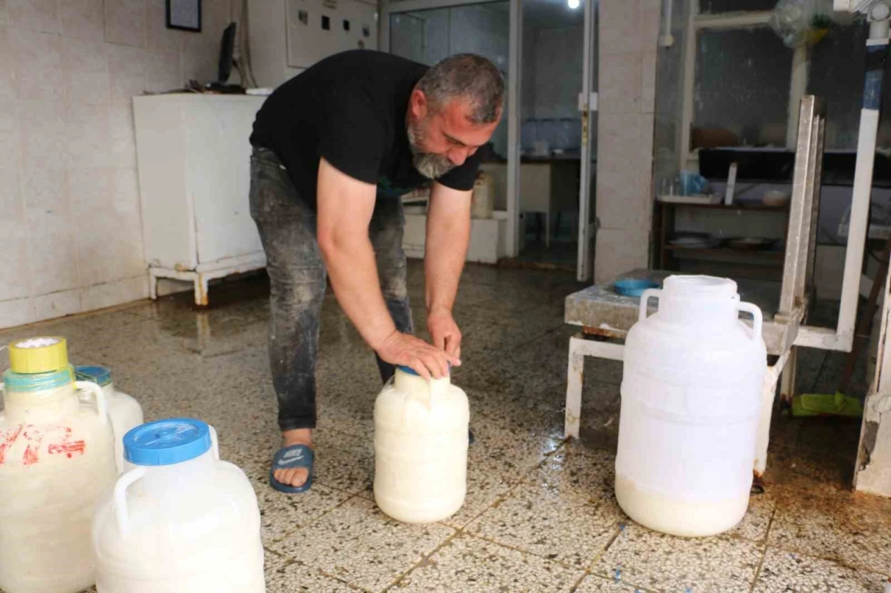 Diyarbakır&rsquo;da kışlık peynir mesaisi başladı
